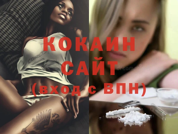 эйфоретик Арсеньев